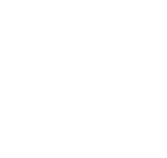 Logotipo del IBV 