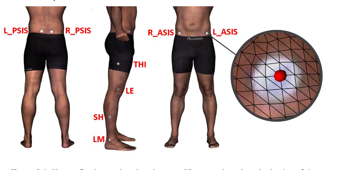 marker-based motion capture comparison with 4D body scanner mesh vertex selection